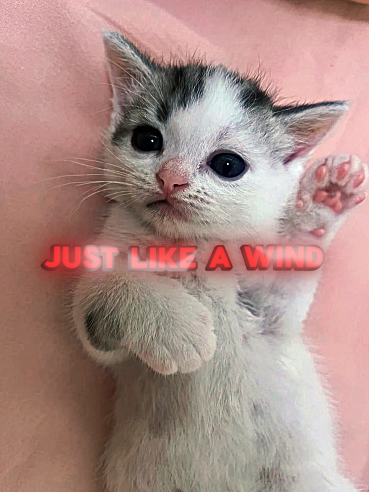 Just like a Wind 