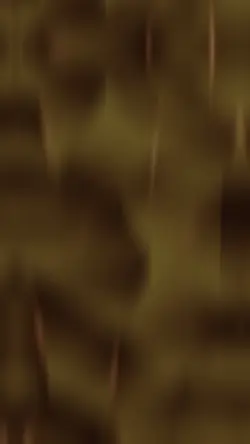 3D Text