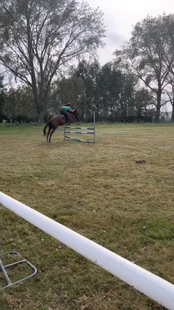 Flying 🔥