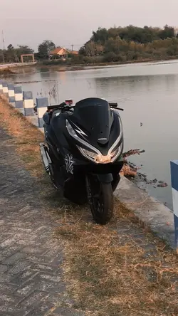 Pota pota