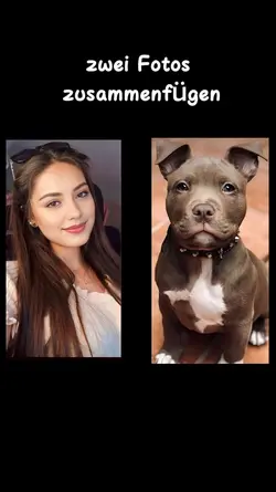 Fotos zusammenfügen