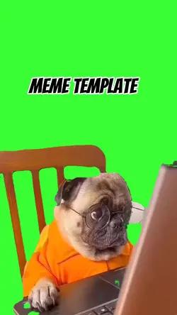 Dog on computer