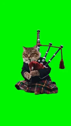 cat music