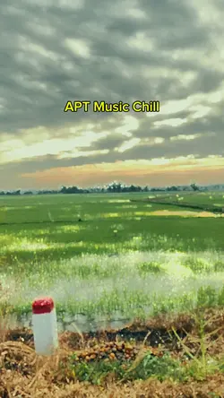 APT Music Chill