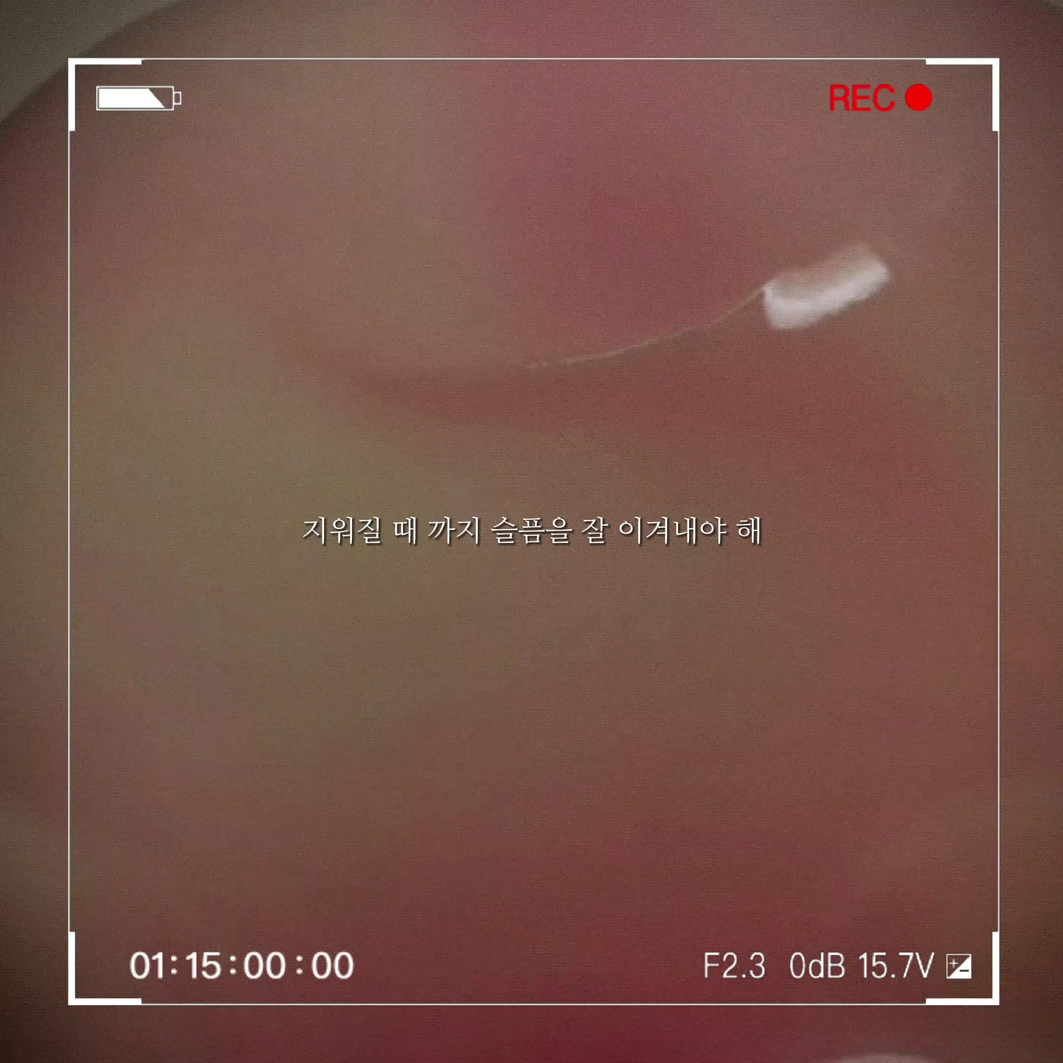 고마웠어, 잘가