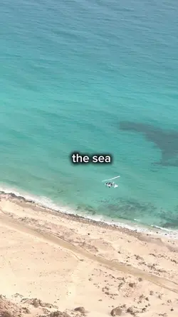 Ophelia lyrics trend