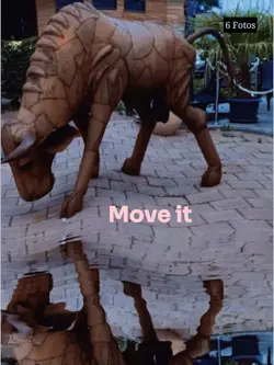 Move it