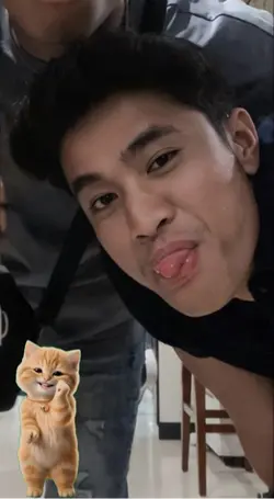 Kucing