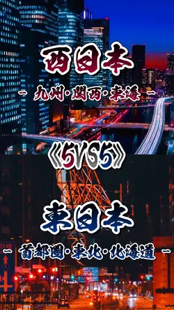 5VS5！2枚1ｾｯﾄ