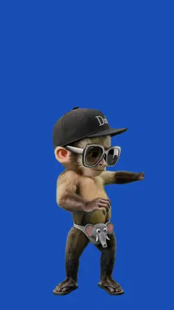 Monkey.