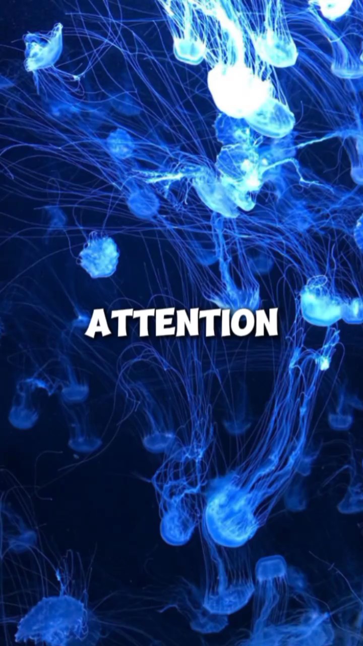 Attention