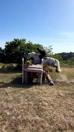 smooth slomotion