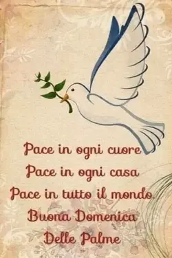 buongiorno 