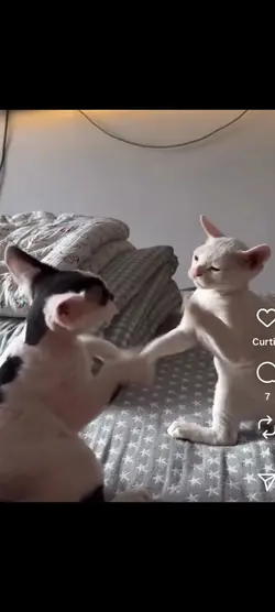 Eu e voce