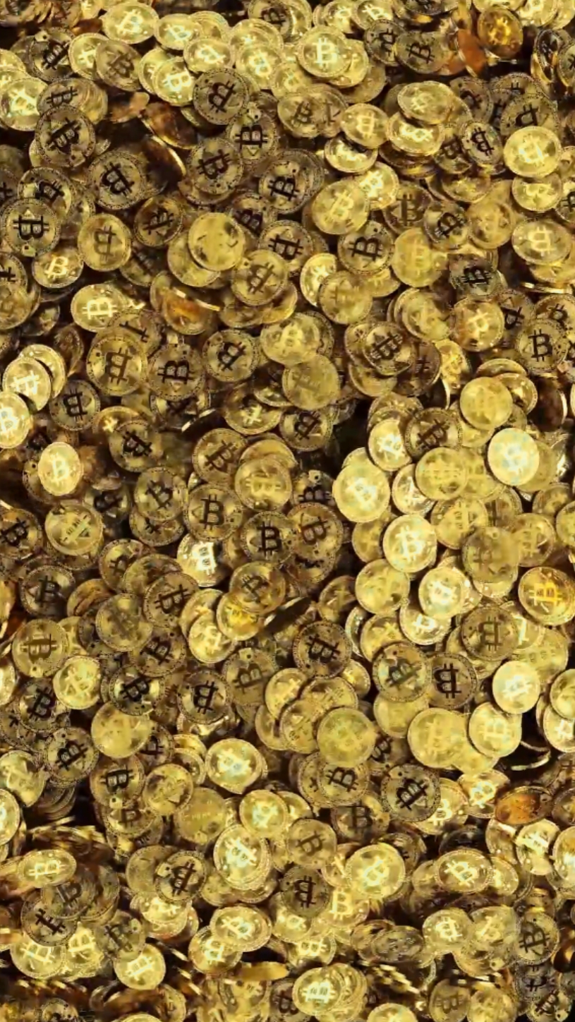 Bitcoin Portrait ²⁷