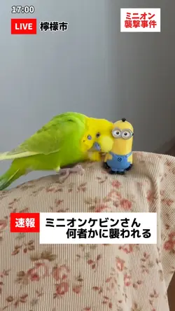 【速報】縦版フェイクニュース 容疑者未確