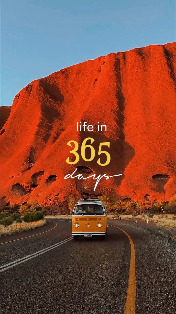 365 days 208 clips