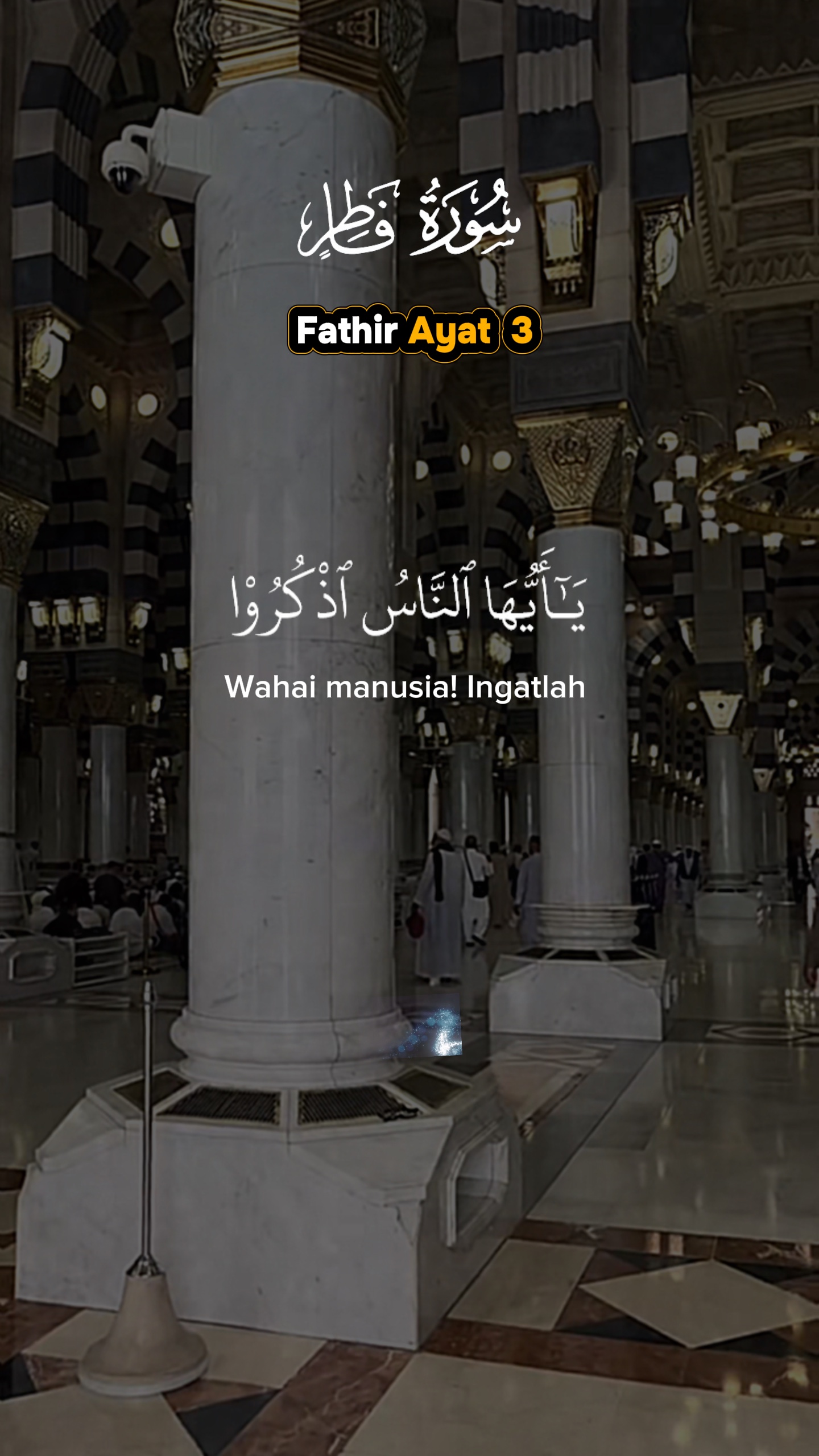 Fathir Ayat  3