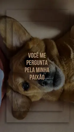 minha paixão ❤️