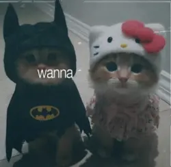 Song lyrics video