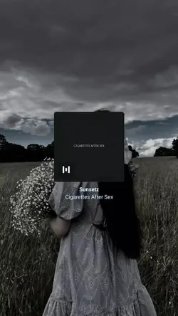 Sunsetz -Cigarettes 