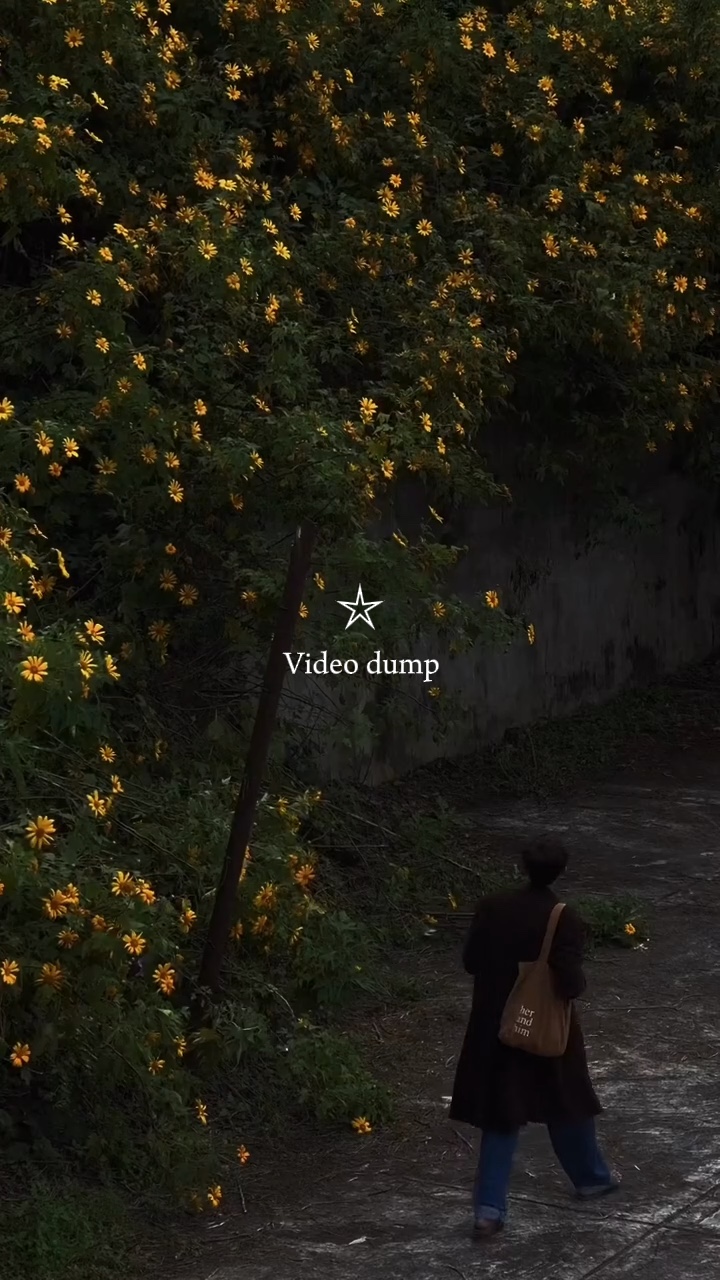 14 video | 9:16
