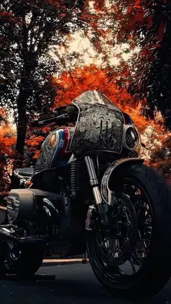 MOTORCYCLE—TREND