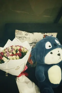 Teddy Bear