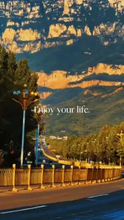 enjoy