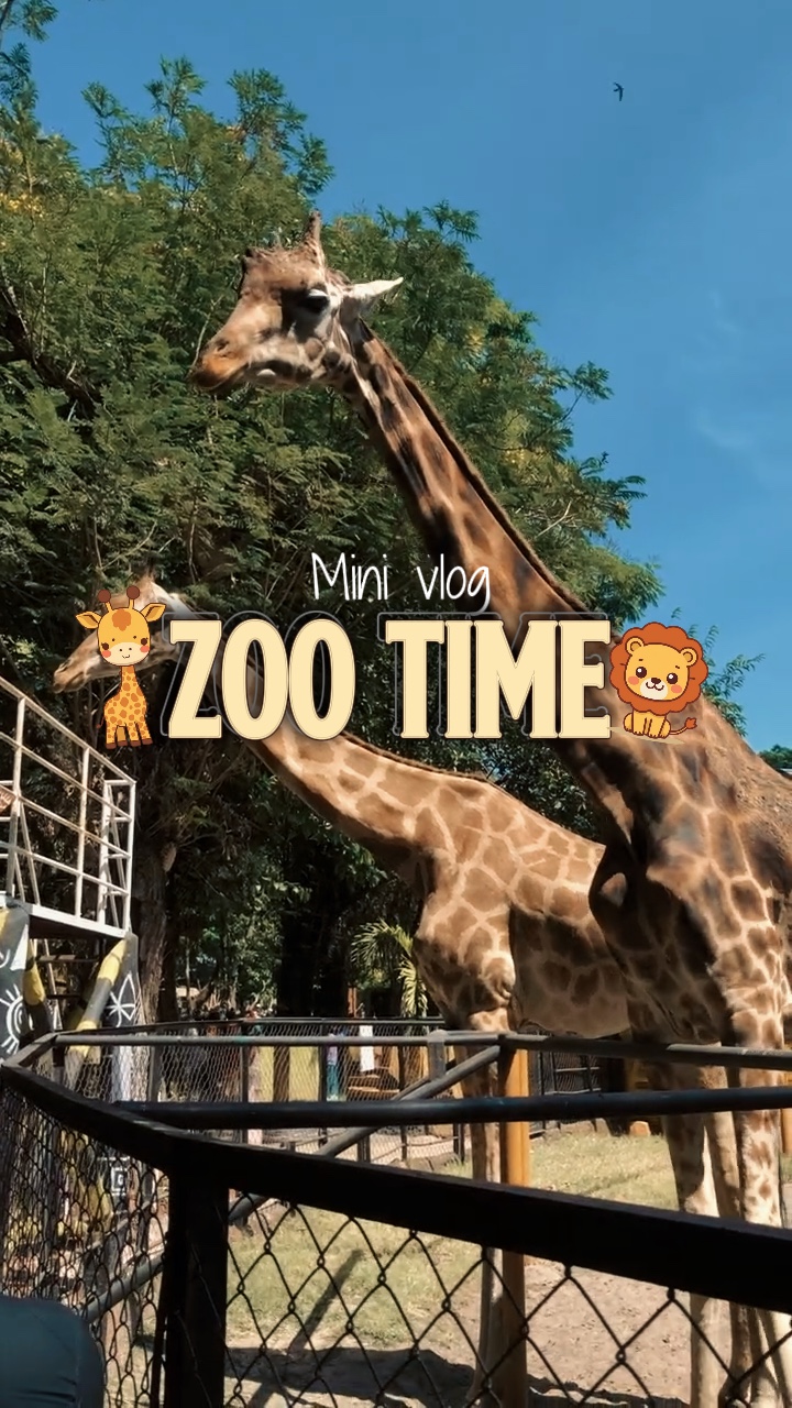 Zoo time