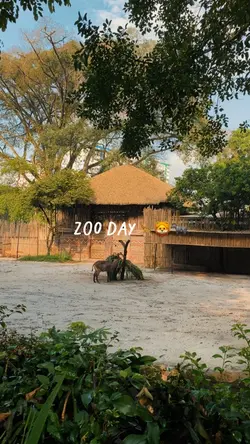 Zoo day