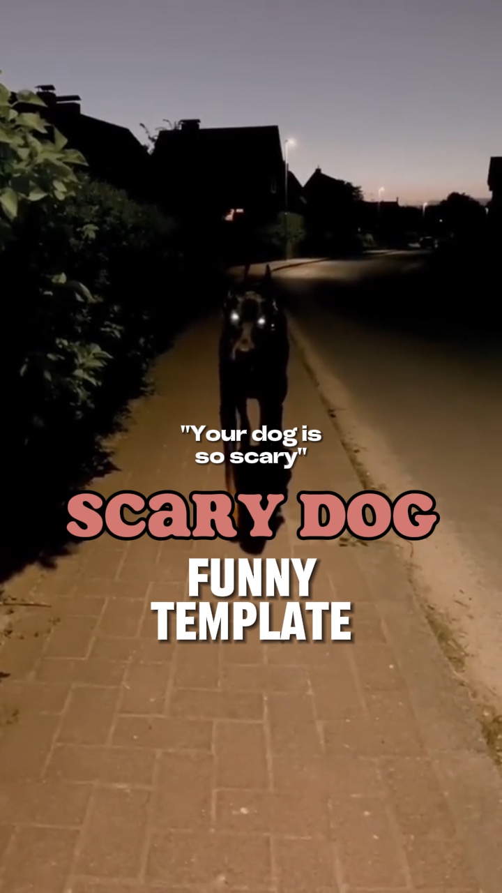 Scary dog