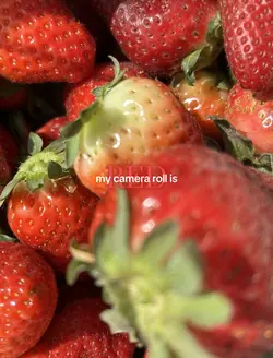 CAMERA ROLL COLORS🌈