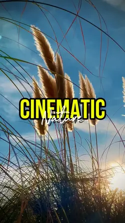 CINEMATIC NATURE