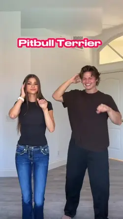 Pitbull Terrier!❤️❤️❤️
