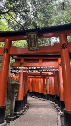 Ost Naruto 3 Photo