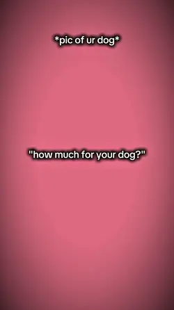 hmforyourdog