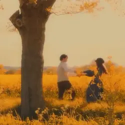 vlog dream