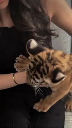 Tu shdi aramshm ♥️. 