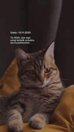 01.11.2025