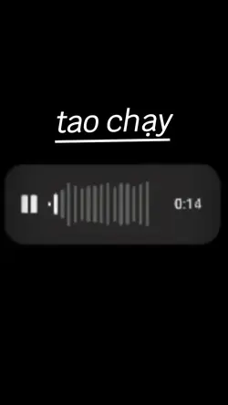 tao chạy