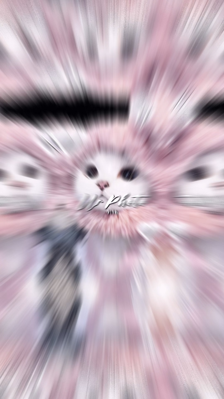 だいしゅきだいしゅき