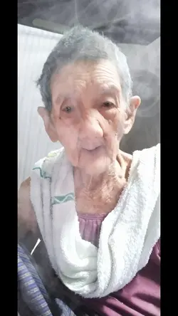 ต้นไม้ใหญ่ของลูกๆ