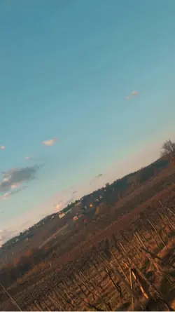 Viața 