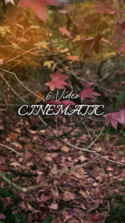 6 Video
