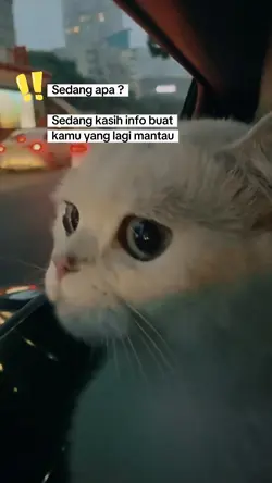 sedang apa