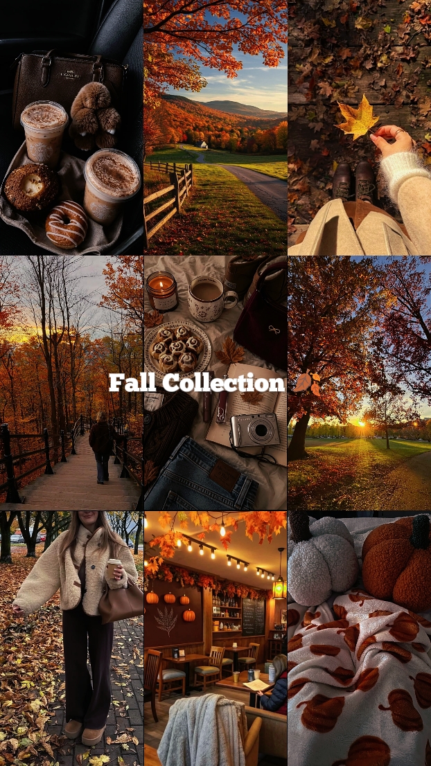 Herbstkollektion