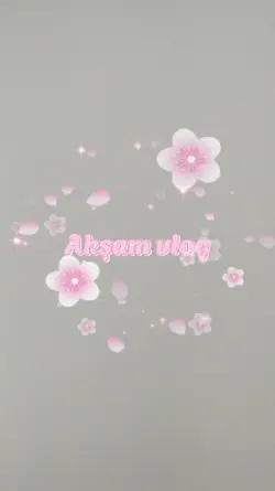 akşam vlog
