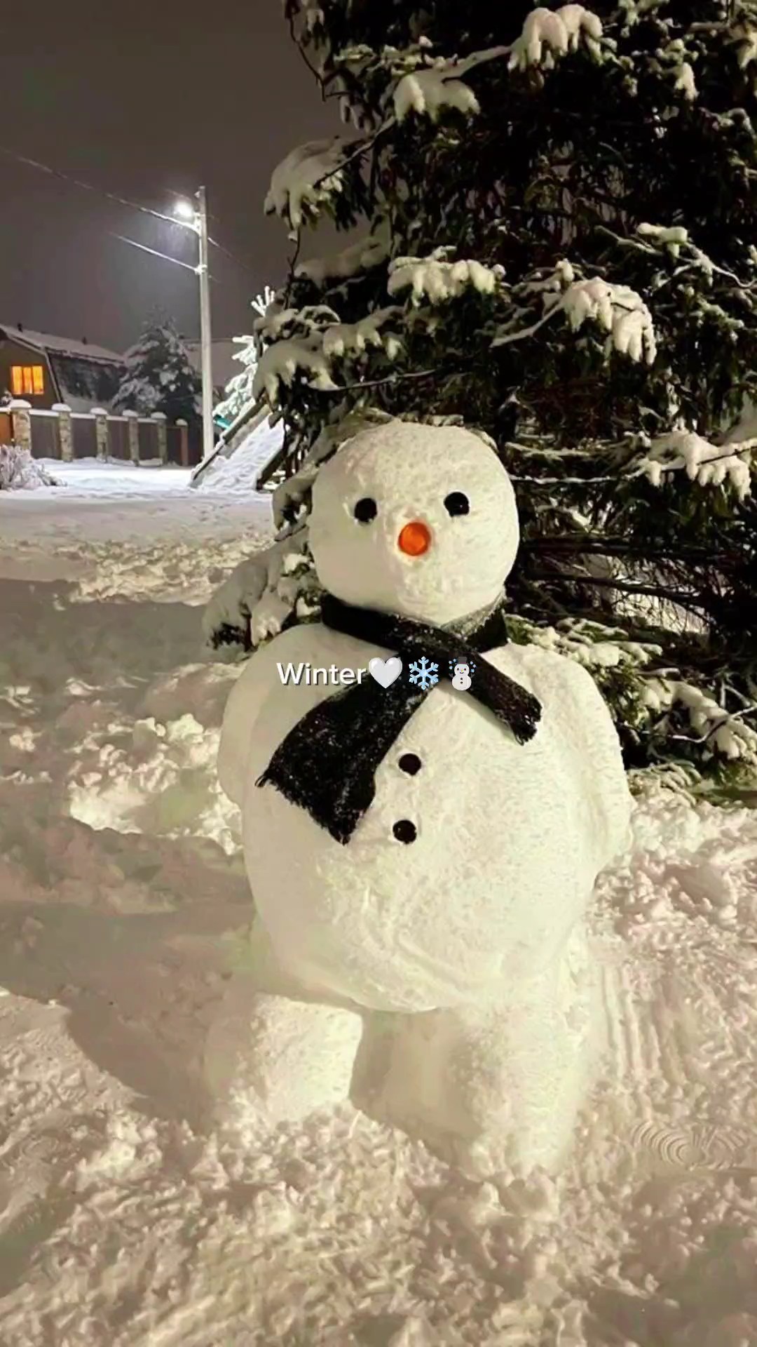 Wintermüll 2024