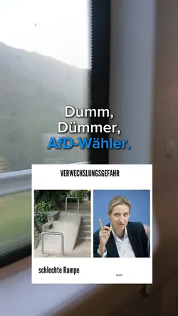 Dumm Dümmer AfD